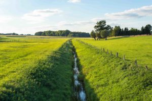 Ganderkeseer Versicherungsverein | Landschaft